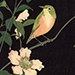 Shiro Kasamatsu Gallery